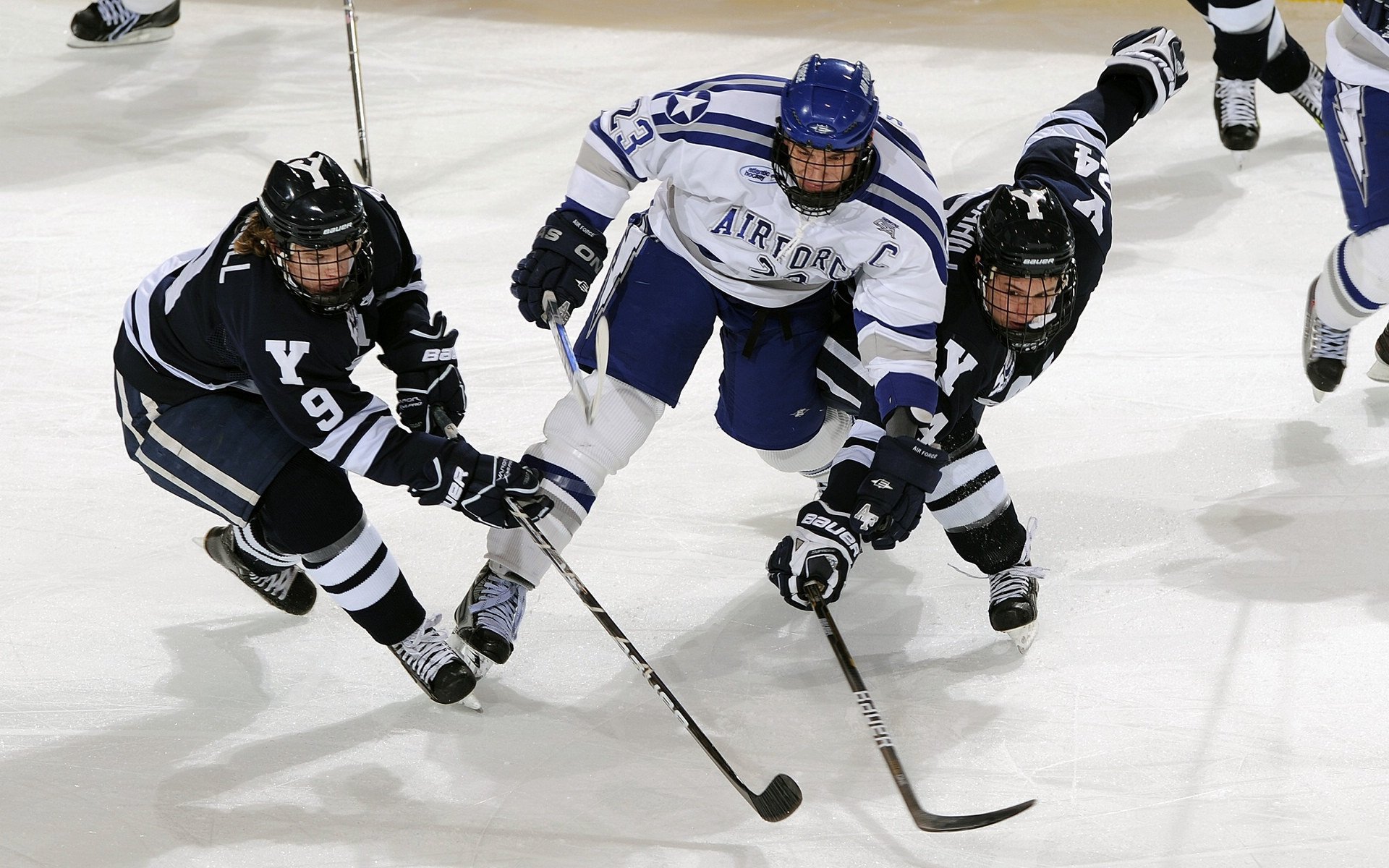 北欧风暴与东方传奇，瑞典队力克英格兰，樊振东刷新纪录的双重奏